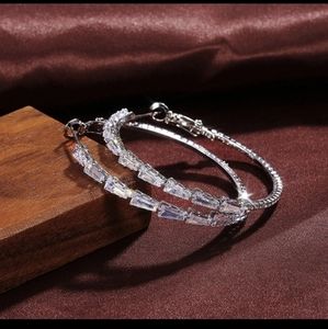 Crystal Silver earrings